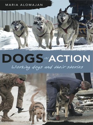 cover image of Dogs in Action
